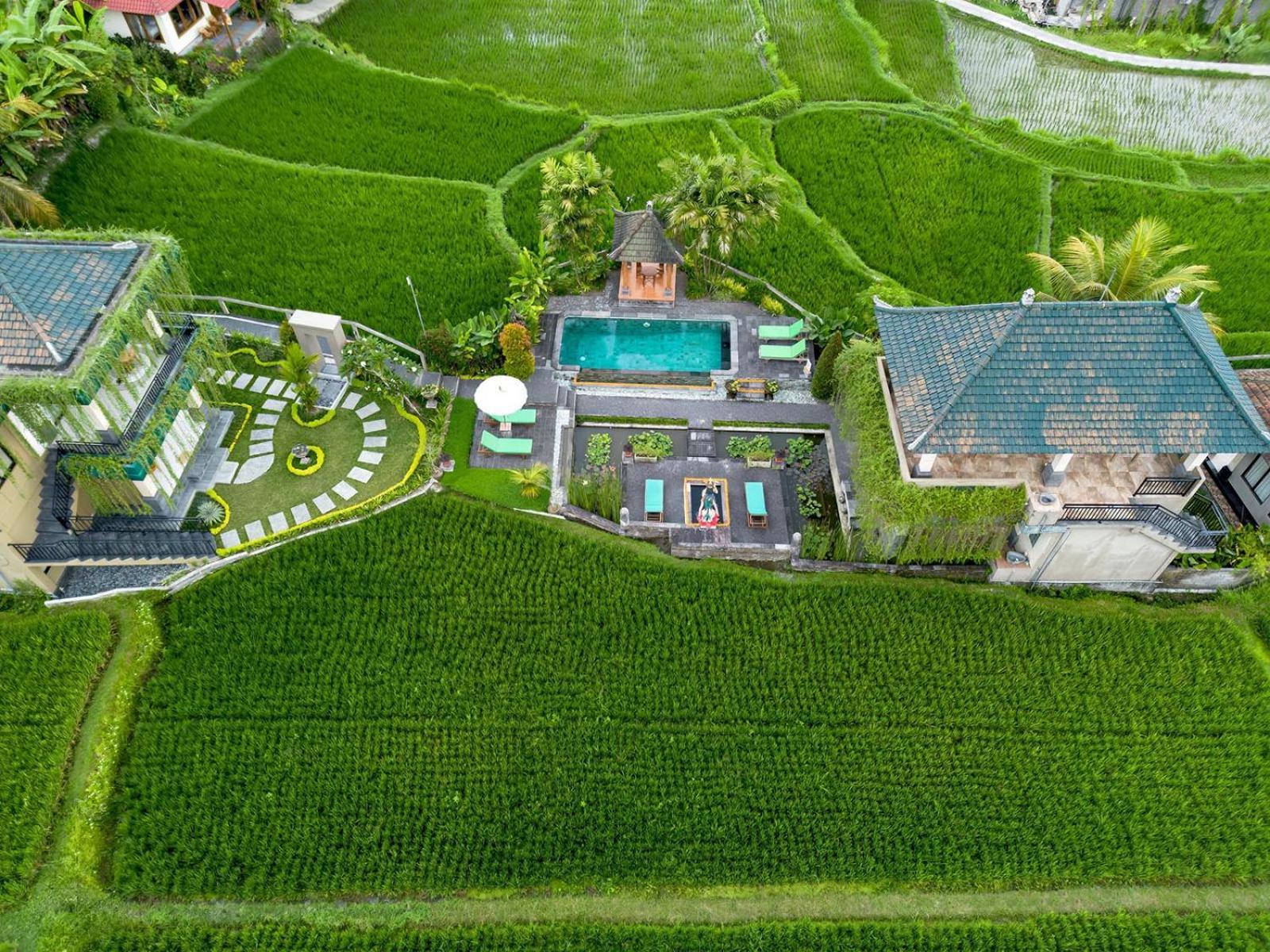 Cahaya Ubud Villa Екстериор снимка